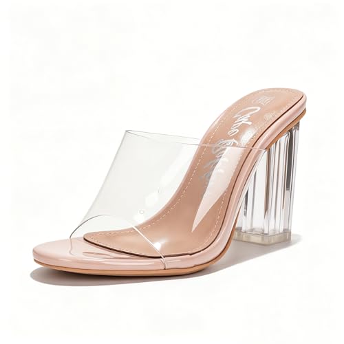 Talons épais transparents en lucite et semelle cuir Cape Robbin