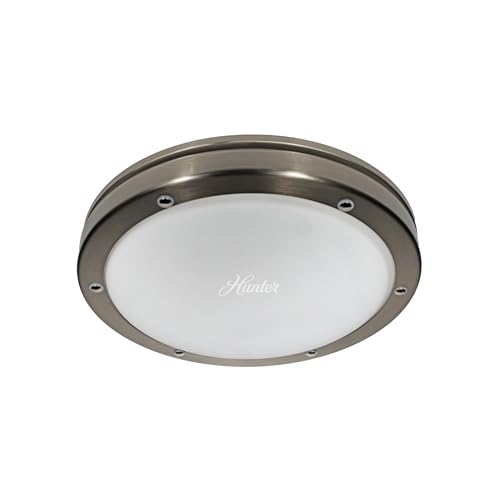 Hunter Oasis 80 CFM Brushed Nickel
