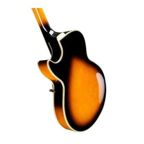 Amazon.com: Ibanez GB10SE George Benson Signature - Brown Sunburst