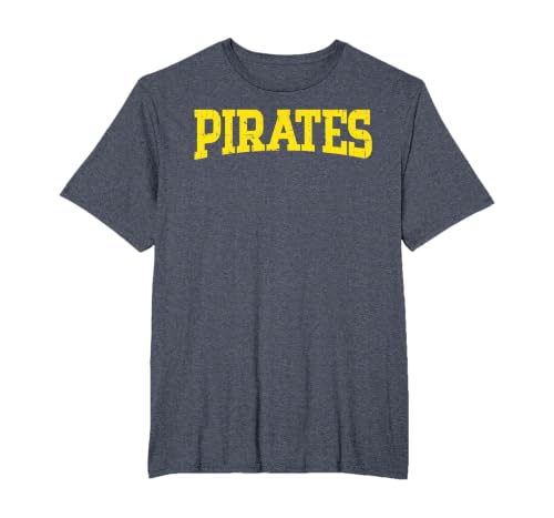 Pirates Vintage Buccaneer Sea Crew Costume Men Women Kids T-Shirt, Men's Big and Tall, Heather Blue, 3X Tall