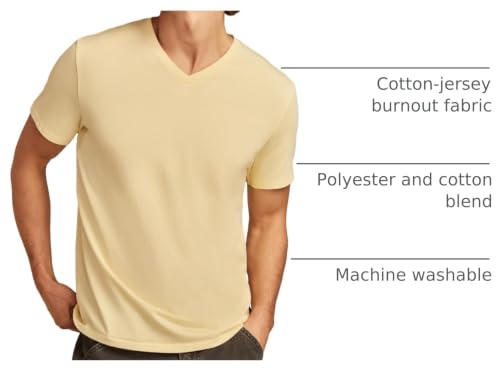 Image of Lucky Brand Men's Venice Burnout V Neck Tee