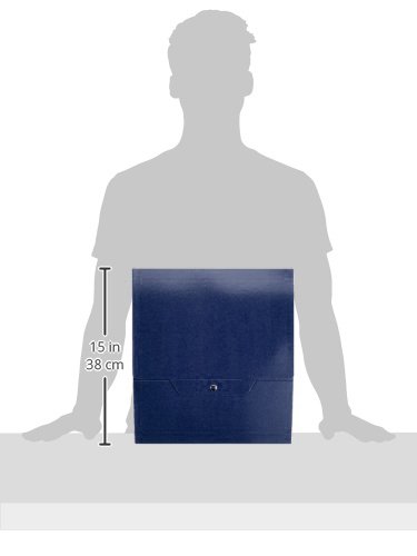 Cartella Progetti Esselte EUROBOX C28 - 25x35 Cm, Dorso 8 Cm, Blu, Confezione Da 5 Pezzi - Foto 11