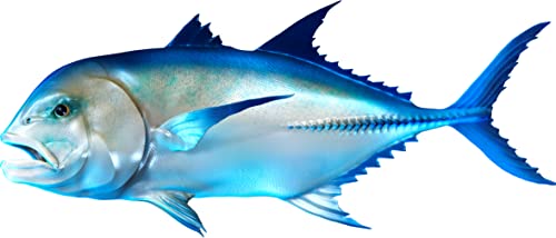 Giant Trevally Beautiful Fish Decal | Fishing decal for Boat, Car, Vehicle, Truck Etc | Waterproof Vinyl Sticker | Many Sizes & Styles Available | 12