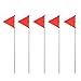 Produktbild Windhager Markierflaggen Vole Trap Accessories, Wühlmaus-Falle Zubehör, zum Markieren von Maulwurf- und Wühlmausgängen, 5 Stück, 05317