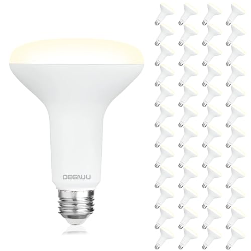 Image of DEGNJU 48 Pack Indoor Flood Light Bulbs, BR30 LED Bulb 7W Equivalent 65W, Dimmable Recessed Light Bulbs, 650LM 3000K Warm White 15000 Lifetime LED Can Light Bulb, Interior Home E26 Base