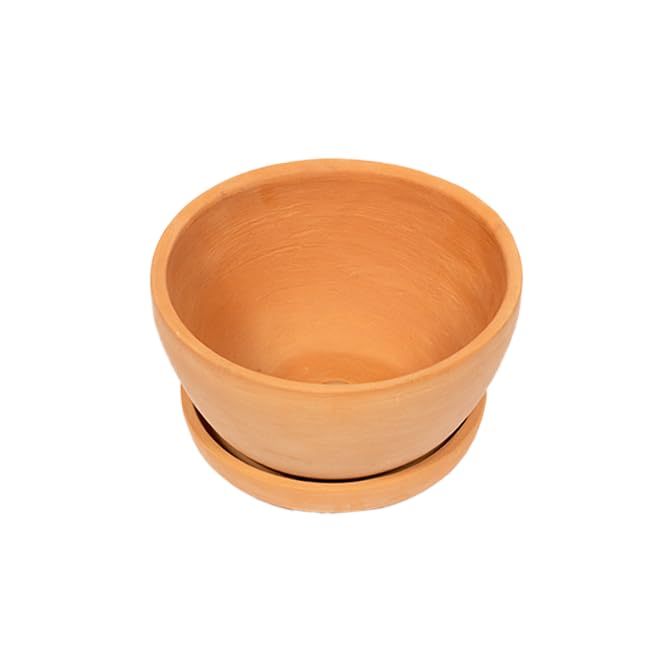 Village Decor Terracotta Small Pot for Planter with Bottom Tray|Pack of 1|Height - 3.75 Inch (B07VD7K6VW) Amazon Price History, Amazon Price Tracker