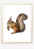 Din A4 Kunstdruck ohne Rahmen - Eichhörnchen mit 