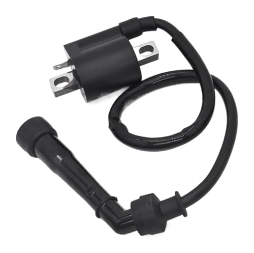 Bobina De Encendido La Motocicleta para Suz&uki para LTZ400 para LT-Z 400 para QUADSPORT 2003-2008 Paquete Bobina Encendido Bobinas Encendido Dispositivo Encendido Bobina Encendido Estator Magnético