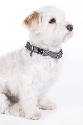 Hkm Anam Cara- Nylon Dog Collar Black/Rose Gold XS/S - Image 3
