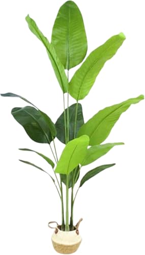 Dohera lHϗtA lHO[ G} A̖ ^[O[Aؔ vX`bN V~[V i`  y b炸 ͂Ȃ sv tFCNA lH gݗĂȒP CeA Ϗܗp ƒp Ɩp