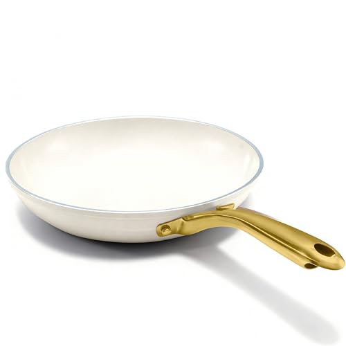 GOTHAM STEEL 10 Inch Non Stick Frying Pan Nonstick Pan with Ceramic Copper Coating for Long Lasting Nonstick Frying Pan Skillet for Cooking with Stay Cool Handle, Oven/Dishwasher Safe, Non Toxic…