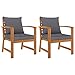 vidaXL 2X Bois d'Acacia Chaises de Jardin avec Coussin Fauteuils de Patio Chaises de Terrasse Fauteuils de Balcon Extérieur Gris Foncé