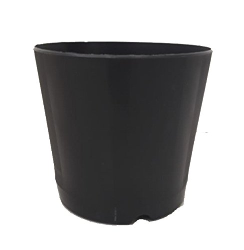 Shubh Planter Pot 5" (Black) Pack of 6 (B07DNV41WH) Amazon Price History, Amazon Price Tracker