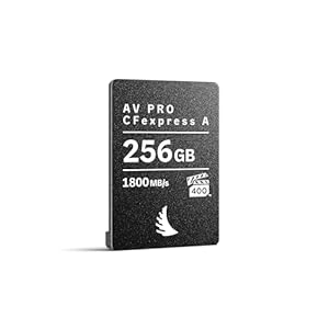 Angelbird AV PRO CFexpress A 256 GB