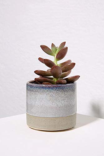 Cachepôt Lylac em Cerâmica, Casa Libre, Cinza