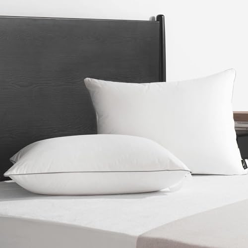 Image of viewstar Down Feather Silver Piping Pillow - Opulent Comfort with Our Luxury Hotel Collection Bed Pillow for Blissful Sleeping, Featuring Elegant Piped Edges (Classic, Standard (16X26 Inches))