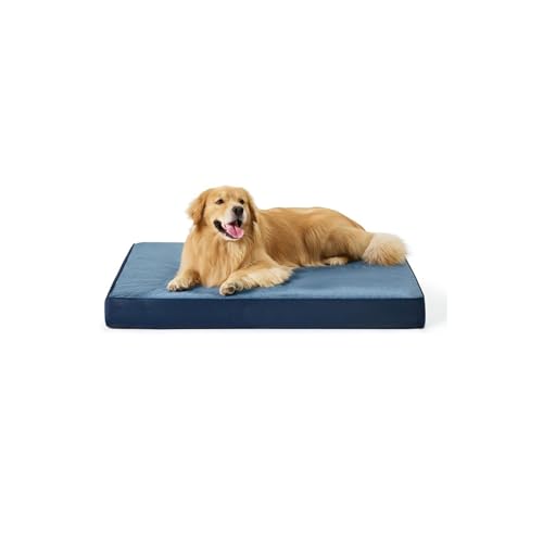 `OȗppN[gxbhA[tH[pxbhjh~AOE\ȃJo[Ɗ~ߒthN[gpbhpP[Wp,u[,M