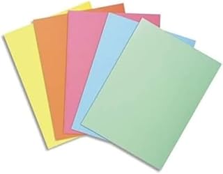 Exacompta 850000E Okładka na dokumenty SUPER 60 g/m² - teczki z certyfikatem PEFC - rozmiar 22 x 31 cm dla formatu A4 - 250 sztuk 5 różnych pastelowych kolorów