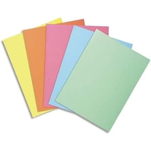 EXACOMPTA Paquet 250 sous-Chemises 22 x 31 cm Super 60 Assorties 5 couleurs