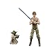 STAR WARS The Black Series Luke Skywalker and Yoda (Jedi Training) 6-Inch-Scale The Empire Strikes Back 40th Anniversary Figures