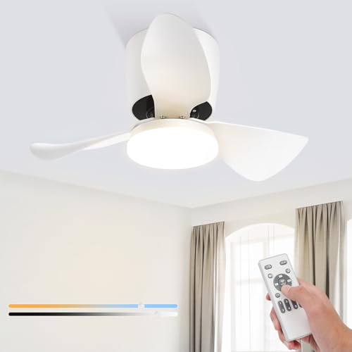 Homefire Ventilador de Techo con Iluminación Regulable - Silencioso 70CM LED Luz de Techo con Ventilador y Mando a Distancia 23W Blanco Verano/Invierno Temporizador de 6 Velocidades para Comedor