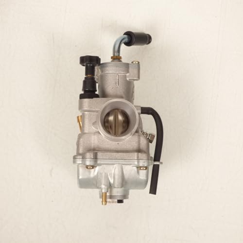Carburatore Polini Cp D.19 Evolution - 3