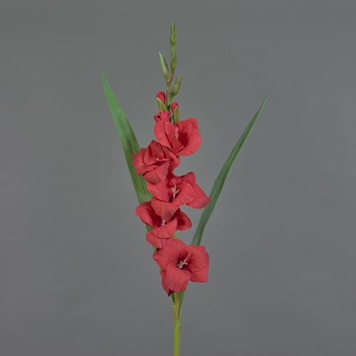artplants.de Glaïeul Artificiel ELEA, Rouge, 85cm, Ø3-10cm - Faux glaieul/Fleur Artificielle