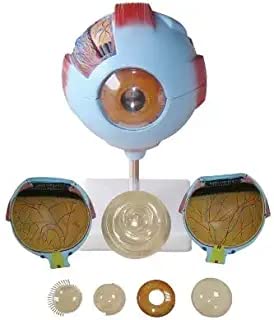 Conxport Giant Eye Model (B0BDVM7T2J) Amazon Price History, Amazon Price Tracker
