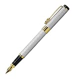 Silver Frosted Fountain Pen, Gilded Medium Nib, Design with Ink Refill Converter and Gift Case (Silver)