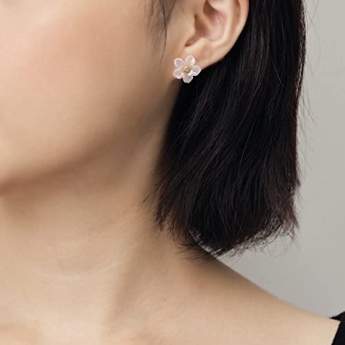 Aboutdaisy 12 Pairs Acrylic Stud Set Earrings For Women, Diverse Colorful Hypoallergenic, Titanium & Nickel-Free Plated Alloy Fashion Jewelry For Special Moments Christmas Valentines Mother's Day Gift #TOP1