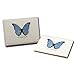 Earth Sky + Water - Blue Morpho Butterfly Notecard Set - 8 Blank Cards with Envelopes