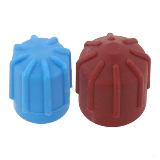 Yuanpgky Juego de tapas de válvula de aire acondicionado para coche con cubiertas azules de bajo voltaje y marrón de alto voltaje, protección contra el polvo de plástico ABS compatible con válvulas M8