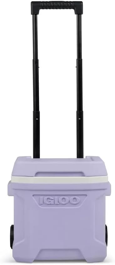 Igloos Cooler Hard-Sided Ice Chest, Insulated Portable Cooler, Heavy-Duty, Leak-Resistant Lid, Lightweight Ergonomic Handle (Lilac, 16 Quart)