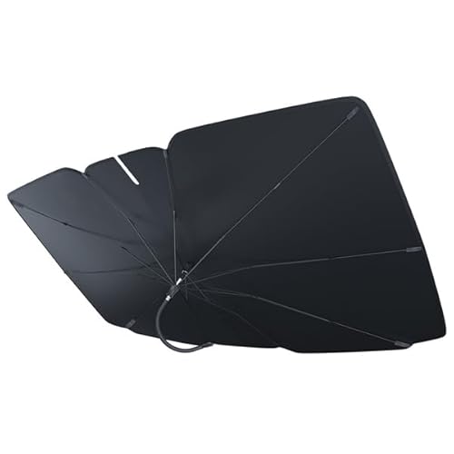 m[g E11 TVF[h  tg y p TCYI ėpi MTCY [sAi]