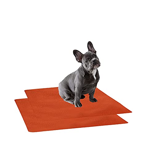 Image of Trance Waterproof Pet Training Pads | Reusable Pee Pad for Dogs Cats Puppy and Pets | Washable Pet Dry Sheet | Potty Trainer | Soft and Hypo-Allergenic (Small, Size 0.5 x 0.7 m | 50 x 70 Cms, Brick Red)- Pack Of 2