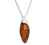 LIGURIUS NATURAL BALTIC AMBER STERLING SILVER 925 NECKLACE Cognac PENDANT Gemstone For Women & Silver Adjustable CHAIN Snake 45cm - 50 cm, Gift set #2