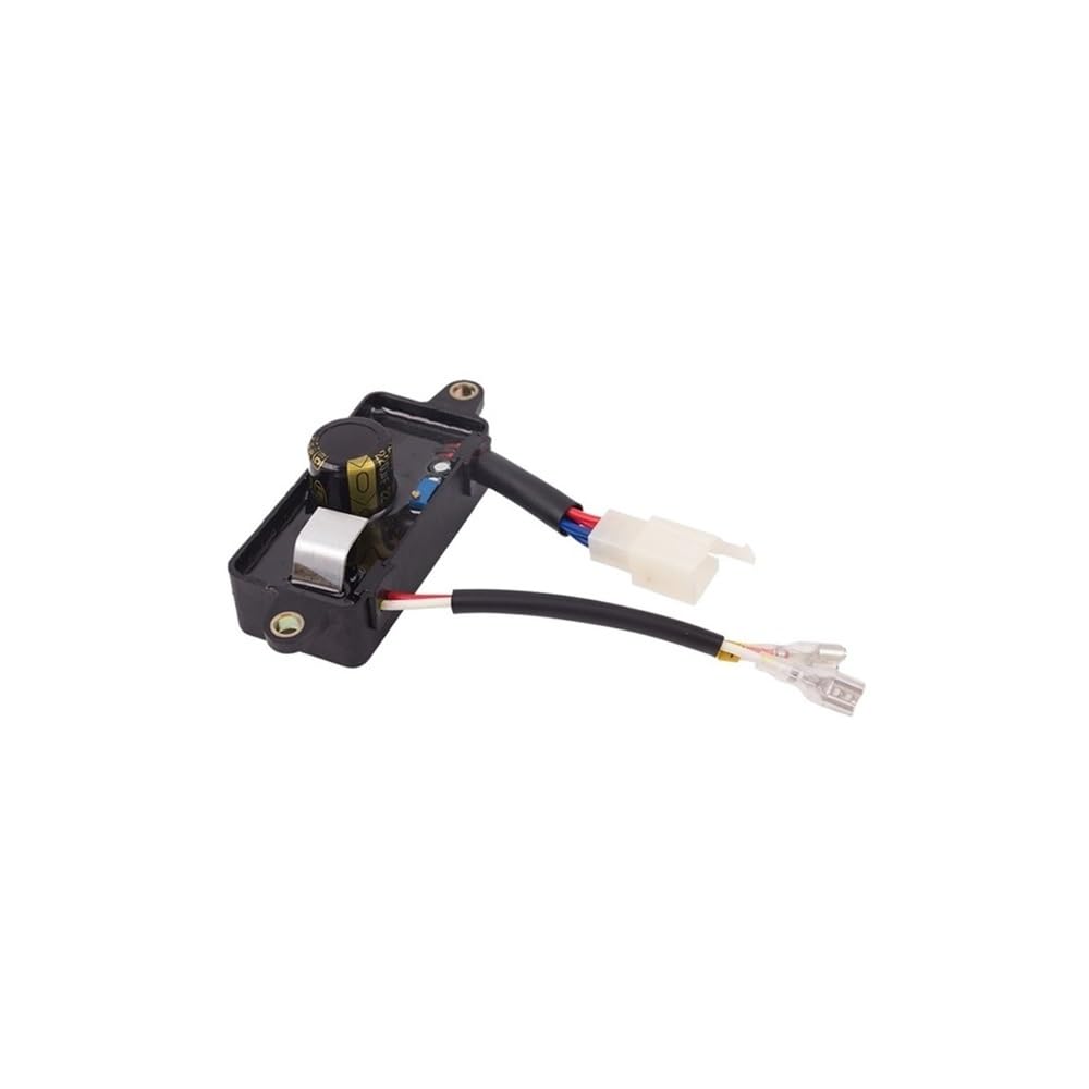 Stabilizzatore di tensione automatico monofase 3 kW e 220 V per piccoli generatori uso generale (2KW AVR)