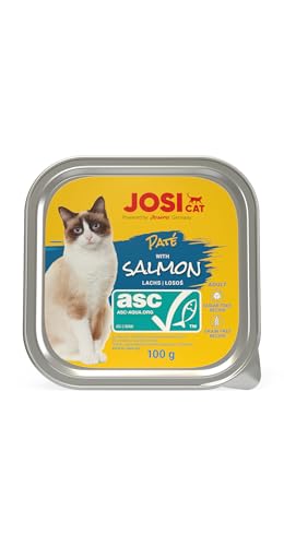 Produktbild von JosiCat Paté mit ASC Lachs - 32 x 100 g