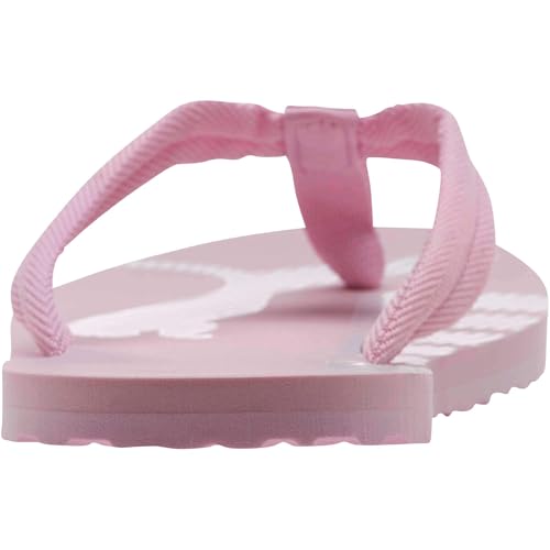 Image of PUMA Epic Flip V2 Synthetic Slipon Womens Athleisure Flip Flops