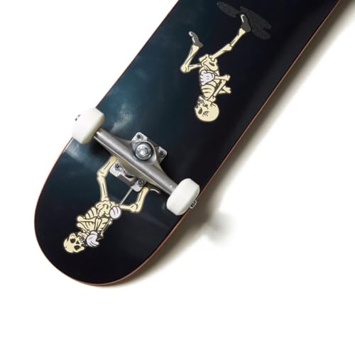 Image of [CCS] Skateboard Complete | Maple Wood | Professional Grade | Fully Assembled with Skate Tool & Stickers | Adults, Kids, Teens, Youth | Boys & Girls