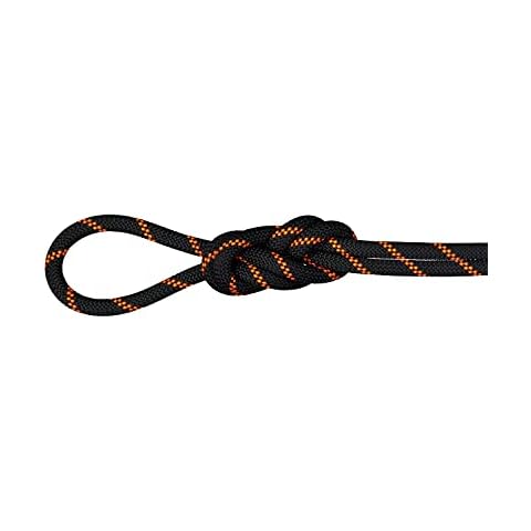 Mammut 8.7 Alpine Sender Dry Kletterseil Cover