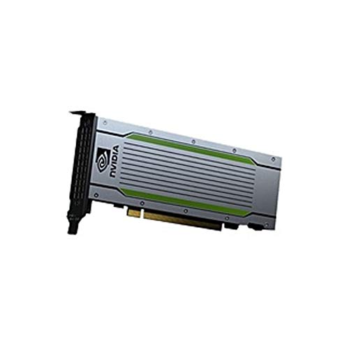 NVIDIA Tesla T4 Graphic Card - 16 GB GDDR6 - Full-Height - PC (Renewed)
