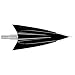 Zwickey Cliffzwickey Broadhead Screw in 2 Blade 175 Gr. Black