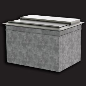 Perlick DI17IC 19"W 35 lb Capacity Drop In Ice Chest | Fridge.com