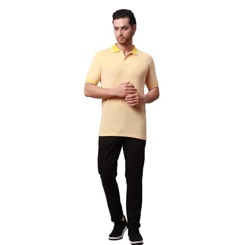 Image of Park Avenue Men's Cotton Polyester Blend Stripe Pattern Slim Fit Rib Collar Polo Neck Half Sleeve Casual T-Shirt