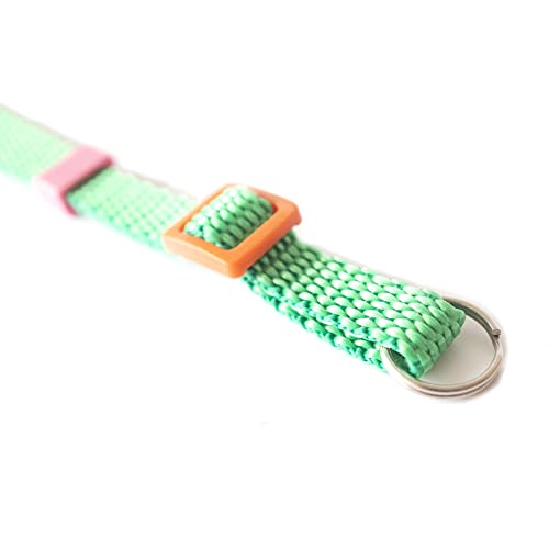 Dubblefilm Courroie pour appareil photo Los Feliz Vert Cover