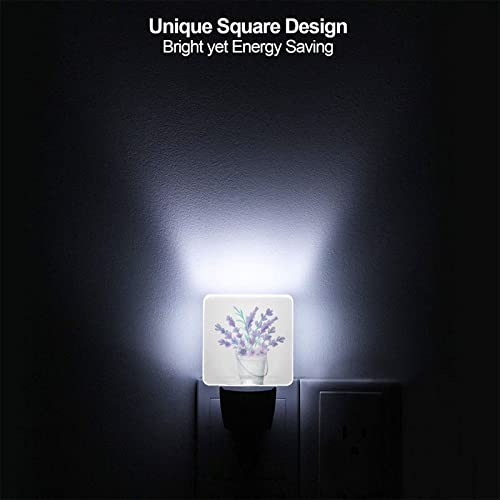 Image of Plug-in LED Night Light, Purple Tulip Hope Flowers Set of 2 Dusk-to-Dawn Auto Sensor Decor Lamp