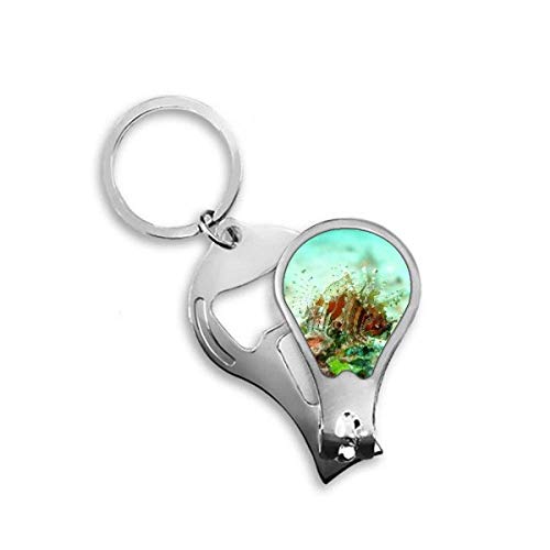 Coupe-ongles de pieds motif poisson lion océan accessoire pédicure de voyage