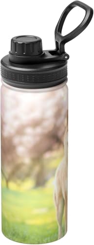 Č   ΂  ^fM ۉ ۗ X|[c{g lC XeX{g X|[cΉ RȂ 530ml j̎q ̎q  l q Aj ObY LN^[ v[g RV188H