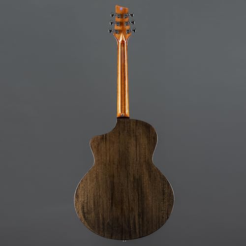 Fame Peter Maffay Signature STD Highgloss – Guitare Acoustique - Les Beatles, Paul McCartney, John Lennon, RIngo Starr, George Harrison Fame Peter Maffay Signature STD Highgloss - Guitare Acoustique – Image 4